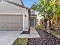 Picture of 7413 French Marigold Avenue, Tampa, FL 33619