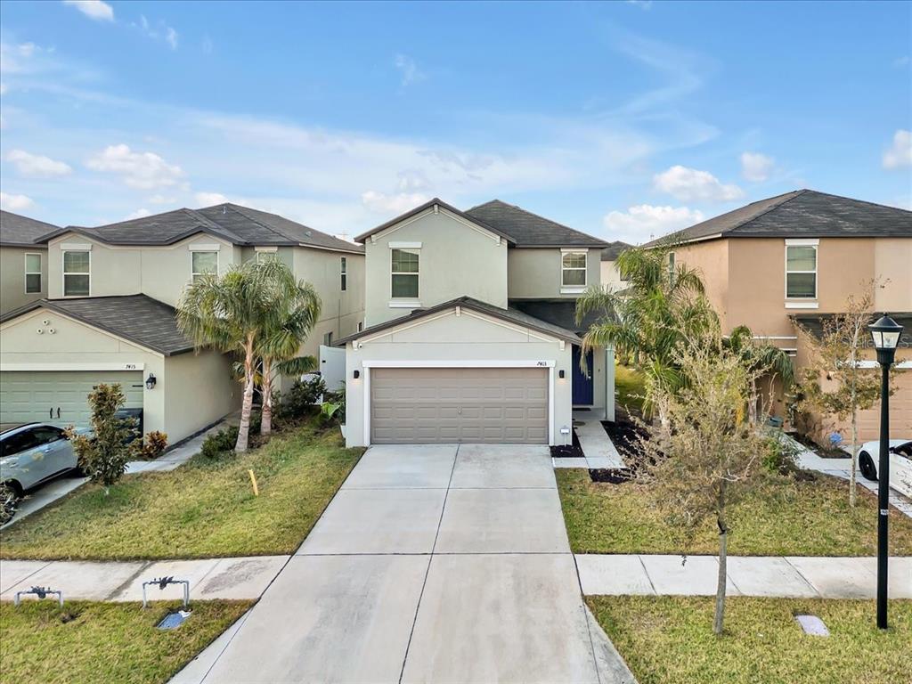 Picture of 7413 French Marigold Avenue, Tampa, FL 33619