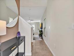 Picture of 7413 French Marigold Avenue, Tampa, FL 33619