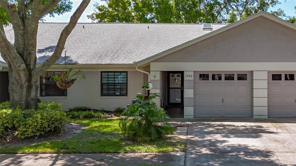 Picture of 1542 Rebecca Lane, Dunedin, FL 34698