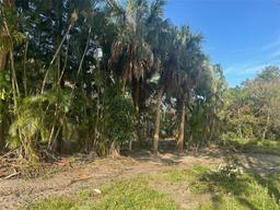 Picture of 2511 Bruce D Buggs Street, Melbourne, FL 32901