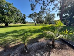 Picture of 229 Mary Drive Unit 229, Oldsmar, FL 34677