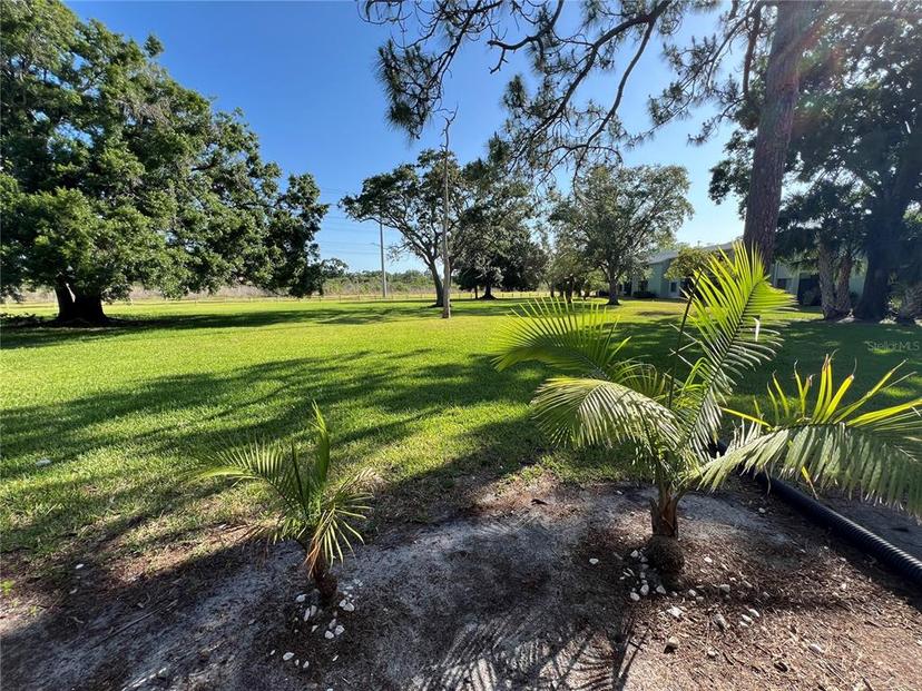 Picture of 229 Mary Drive Unit 229, Oldsmar FL 34677