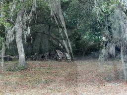 Picture of 5530 SE 183Rd Court, Ocklawaha, FL 32179