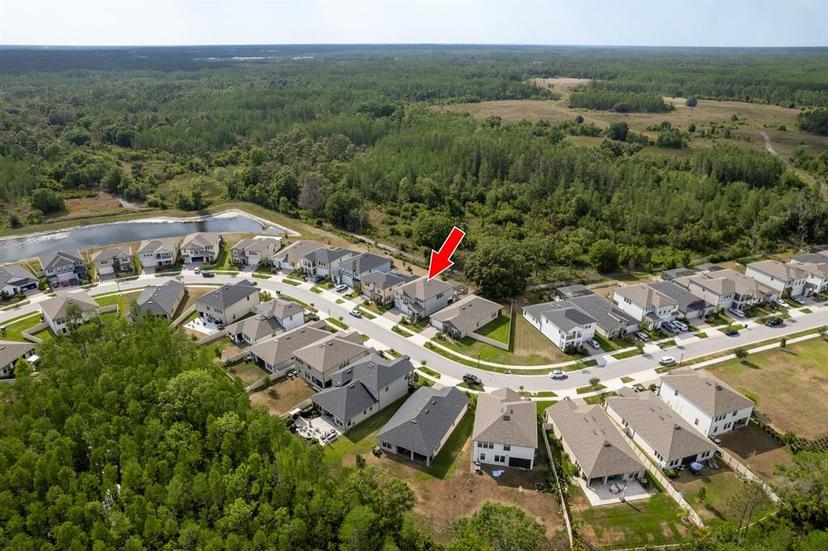 Picture of 21590 Violet Periwinkle Drive, Land O Lakes FL 34637