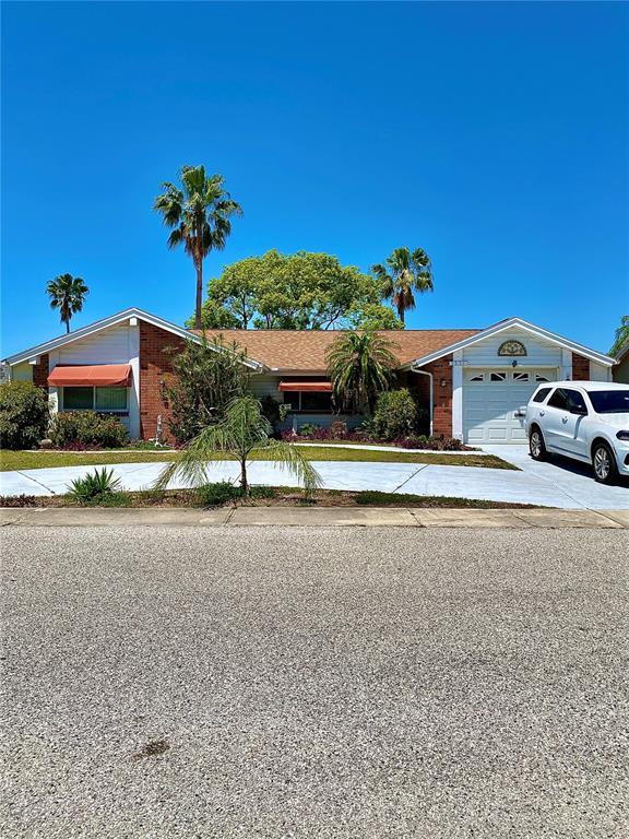 Picture of 3325 Honeymoon Lane, Holiday FL 34691