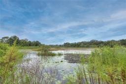 Picture of 9421 Sunshine Boulevard, New Port Richey, FL 34654
