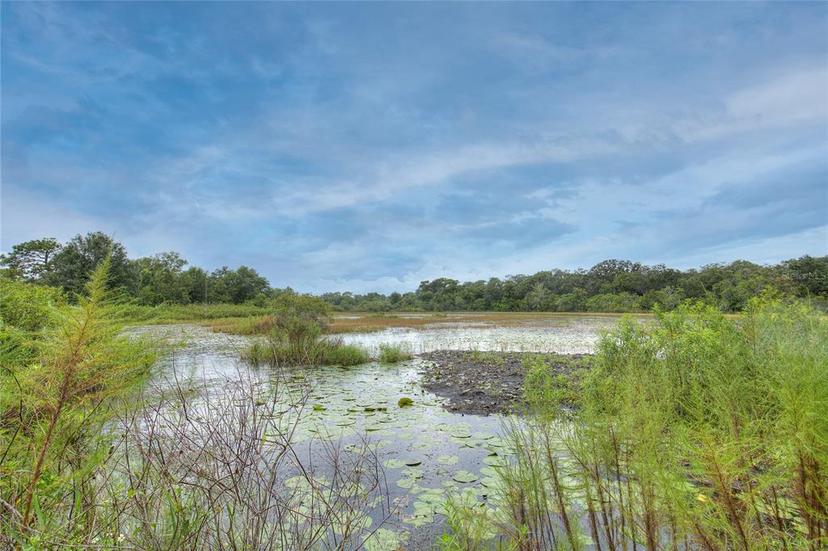 Picture of 9421 Sunshine Boulevard, New Port Richey FL 34654