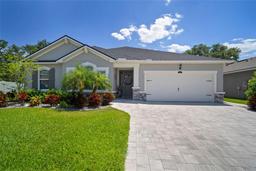 Picture of 13013 Satin Lily Drive, Riverview, FL 33579
