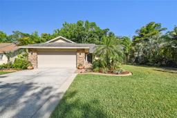 Picture of 15014 Winterwind Drive, Tampa, FL 33624