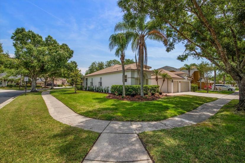 Picture of 12806 Castlemaine Drive, Tampa FL 33626
