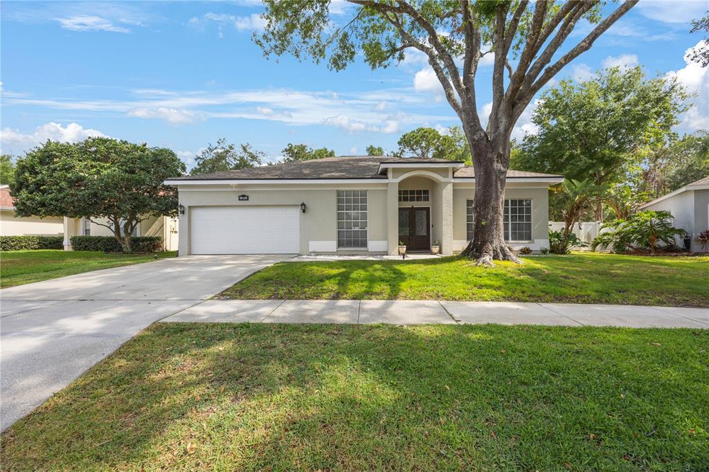 Picture of 18520 Ambly Lane, Tampa, FL 33647