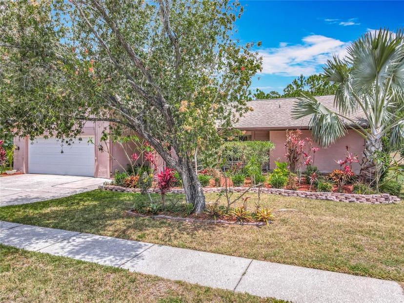 Picture of 3932 Watson Drive, New Port Richey FL 34655