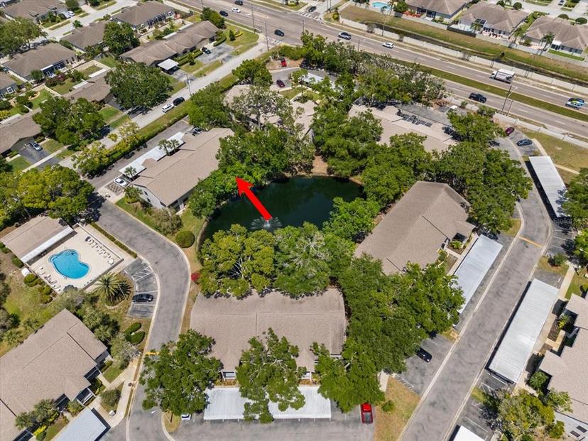 Picture of 2170 Elm Street Unit 906, Dunedin FL 34698