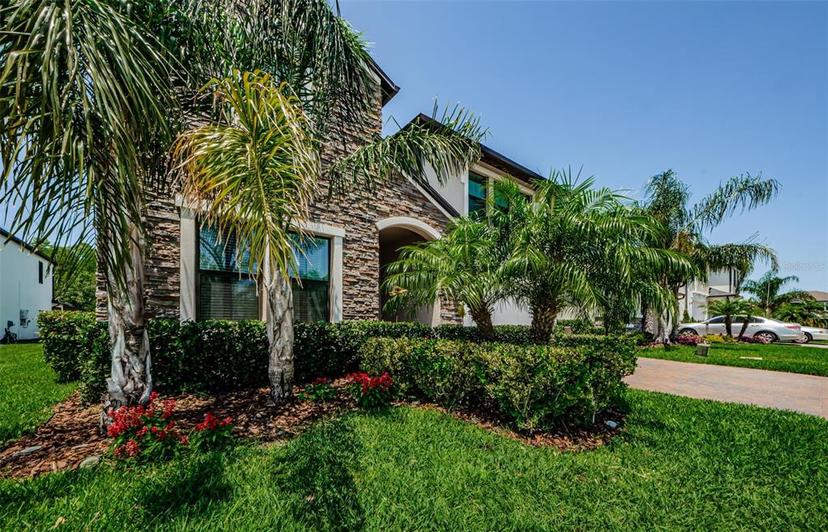 Picture of 2653 Longleaf Pine Point, New Port Richey FL 34655