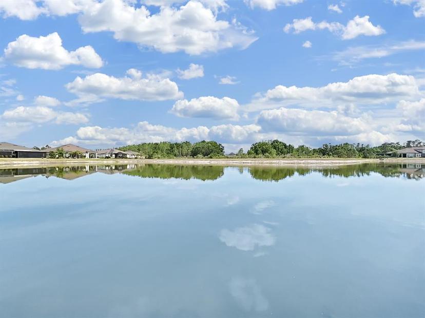 Picture of 4300 Barletta Court, Wesley Chapel FL 33543