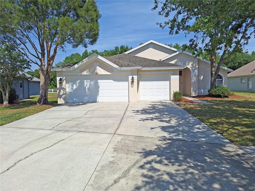 Picture of 19855 Ellendale Drive, Land O Lakes, FL 34638