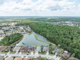 Picture of 29542 Forest Glen Drive, Wesley Chapel, FL 33543