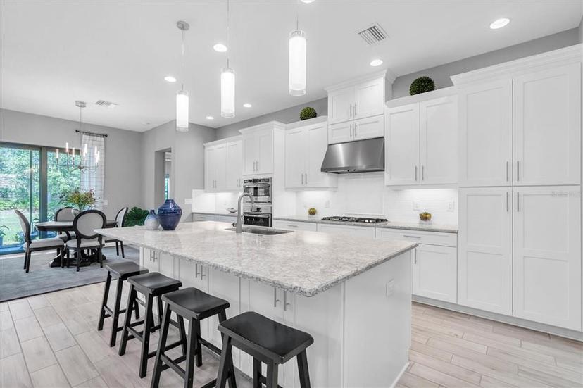 Picture of 11325 Juglans Drive, Odessa FL 33556