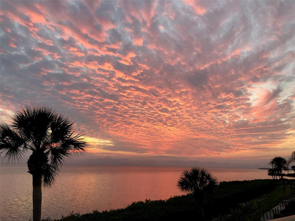 Picture of 3420 Wild Oak Bay Boulevard Unit 120, Bradenton, FL 34210