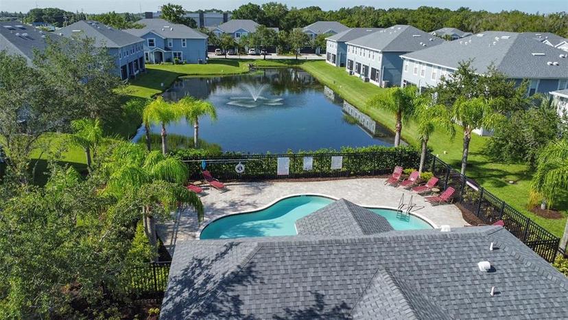 Picture of 6304 Parkside Meadow Drive, Tampa FL 33625