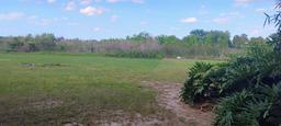 Picture of 9873 County Road 114B, Wildwood, FL 34785