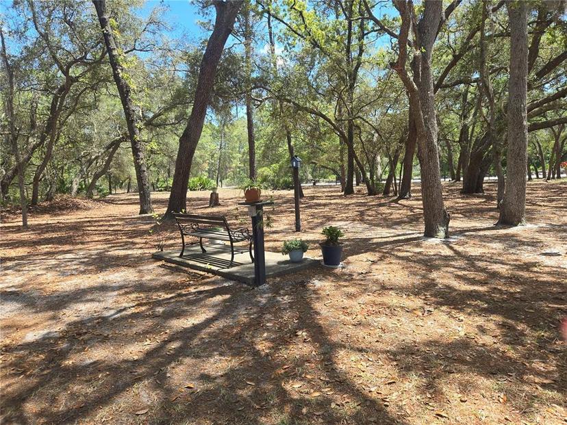 Picture of 16205 SE 119Th Street, Ocklawaha FL 32179