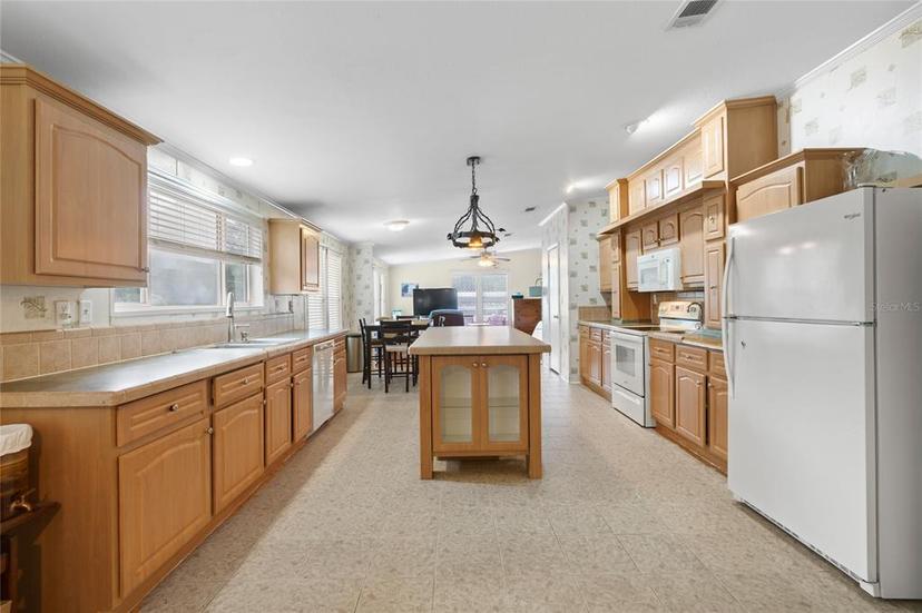 Picture of 16925 SE 100Th Terrace Road, Summerfield FL 34491