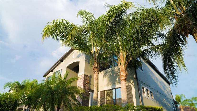 Picture of 19314 Long Lake Ranch Boulevard, Lutz FL 33558