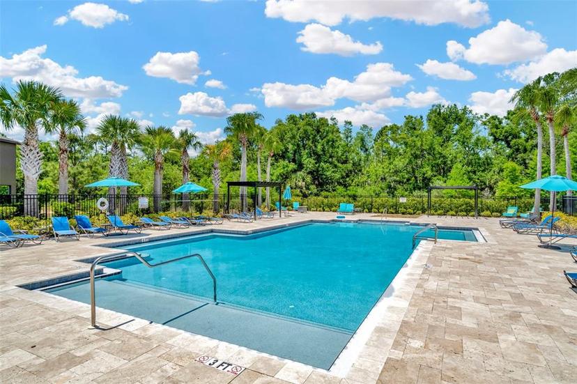 Picture of 28516 Tranquil Lake Circle, Wesley Chapel FL 33543