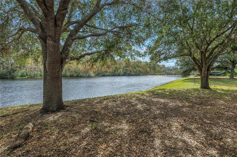 Picture of 10506 Sky Flower Court, Land O Lakes FL 34638