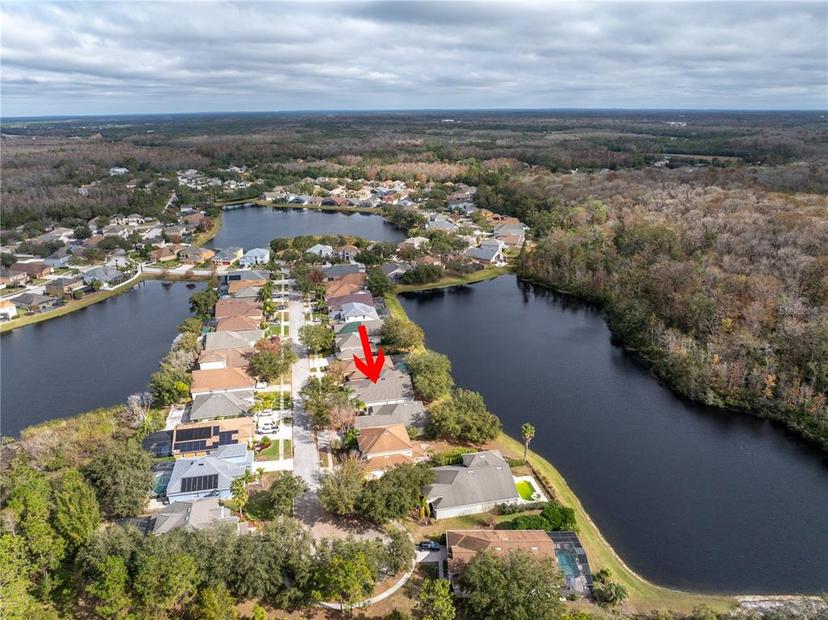 Picture of 10506 Sky Flower Court, Land O Lakes FL 34638