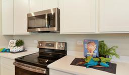 Picture of 733 Lake Dell Road, Dundee, FL 33838