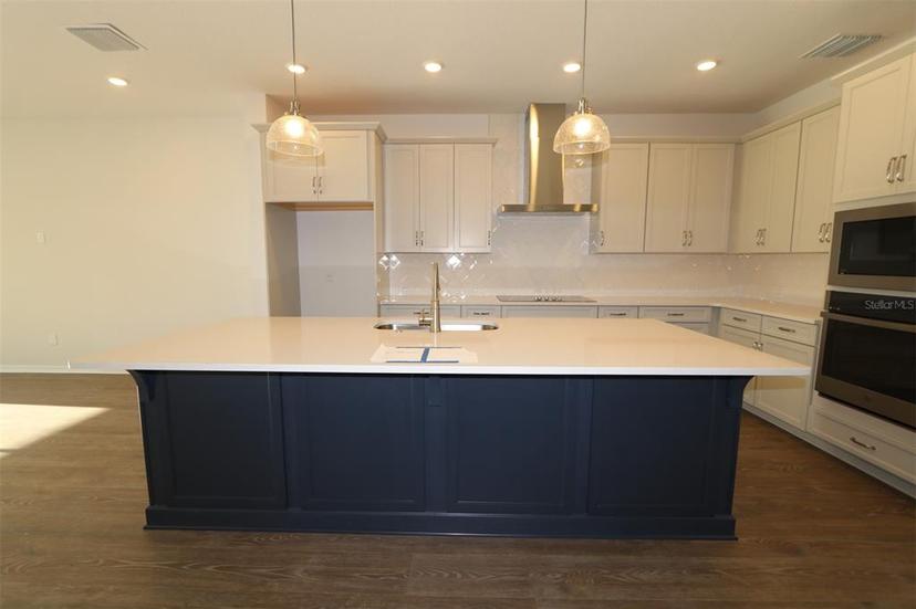 Picture of 5914 Bristle Oak Street, Mount Dora FL 32757