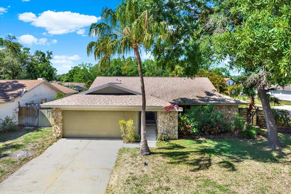 Picture of 4101 Hollowtrail Drive, Tampa, FL 33624