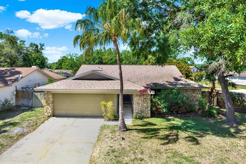 Picture of 4101 Hollowtrail Drive, Tampa FL 33624