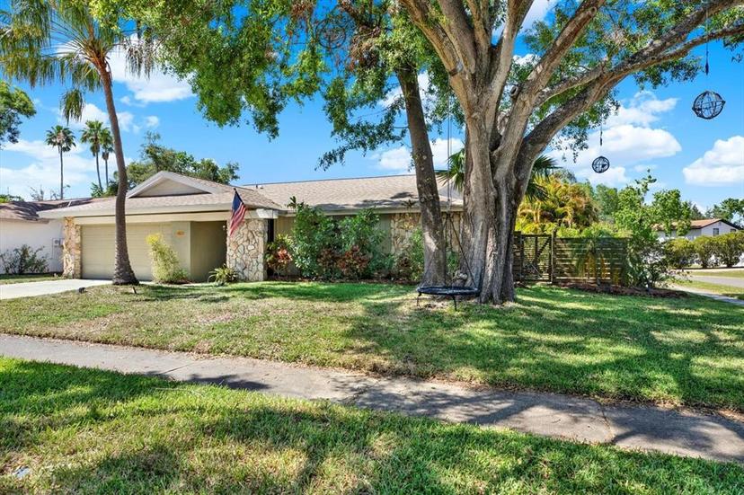 Picture of 4101 Hollowtrail Drive, Tampa FL 33624