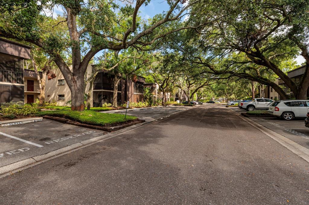 Picture of 11708 Raintree Village Boulevard Unit A, Temple Terrace, FL 33617