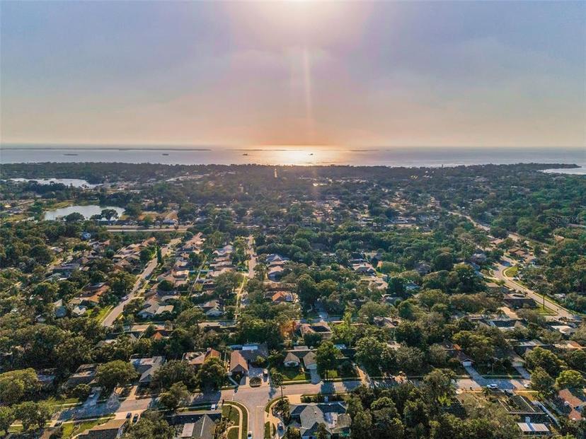 Picture of 833 Lakeside Terrace, Palm Harbor FL 34683