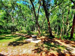 Picture of 3529 Tanglewood Trail, Palm Harbor, FL 34685