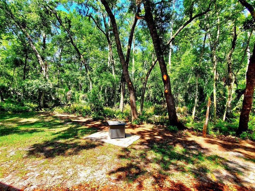 Picture of 3529 Tanglewood Trail, Palm Harbor FL 34685