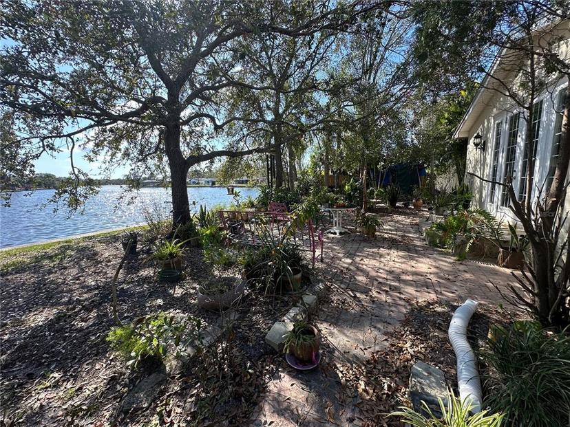 Picture of 560 7Th Street S, Safety Harbor FL 34695