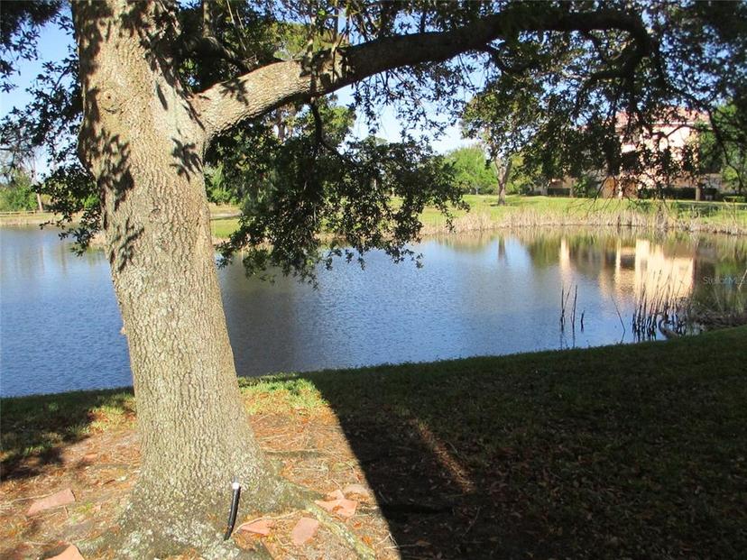 Picture of 1514 Citrine Trail, Tarpon Springs FL 34689