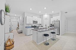 Picture of 13422 Willow Bluestar Loop, Riverview, FL 33579