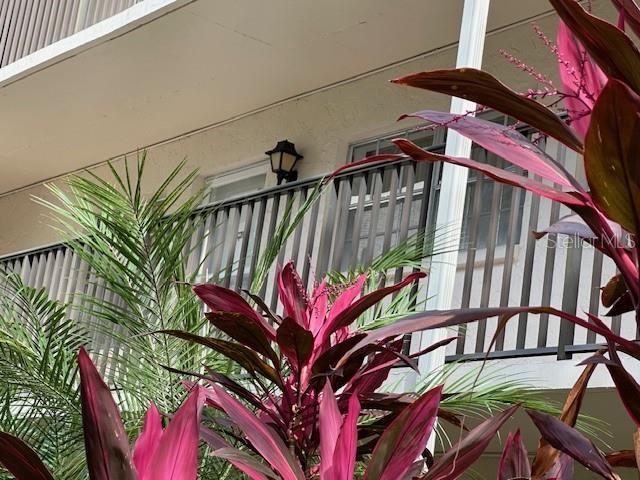 Picture of 840 Virginia Street Unit 202, Dunedin FL 34698