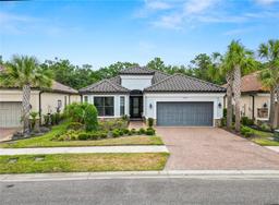 Picture of 20159 Umbria Hill Drive, Tampa, FL 33647