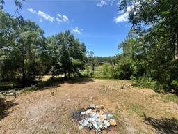 Picture of 6498 SE 167Th Court, Ocklawaha, FL 32179
