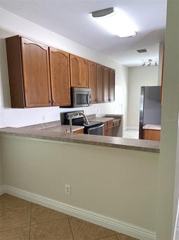 Picture of 20221 Vintage Oaks Place, Tampa, FL 33647