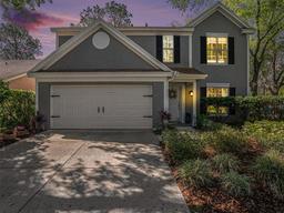 Picture of 9401 Willow Cove Court, Tampa, FL 33647