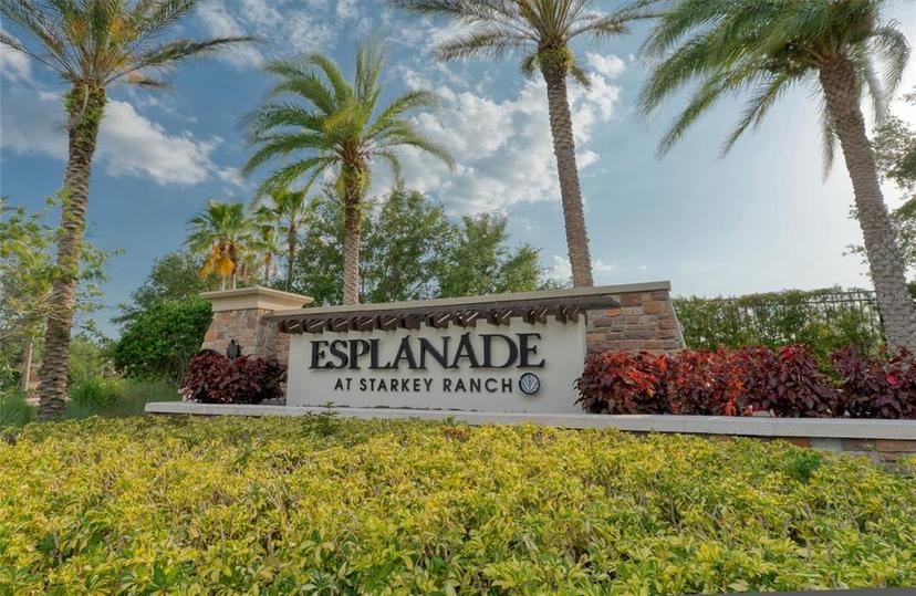 Picture of 11411 Juglans Drive, Odessa FL 33556